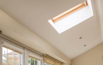 Rayne conservatory roof insulation companies