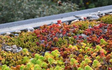 the cost of Rayne green roof installation