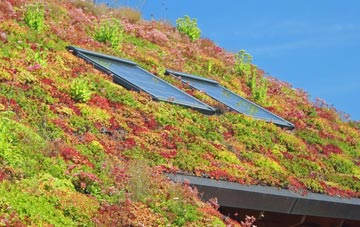 Rayne living roof systems